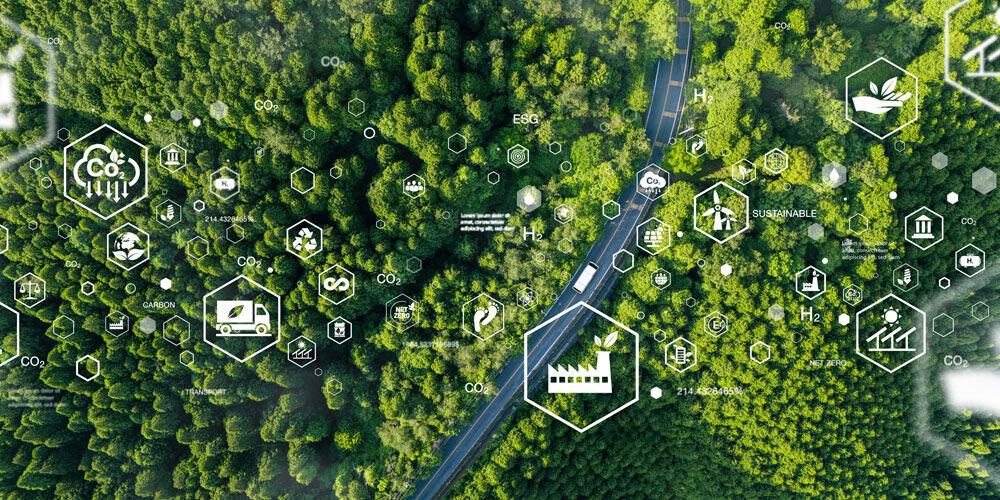 Environmental Monitoring Networks1